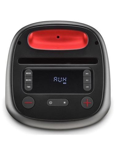 ALTAVOZ BT NGS WILD SWAG GO    80W PN:...